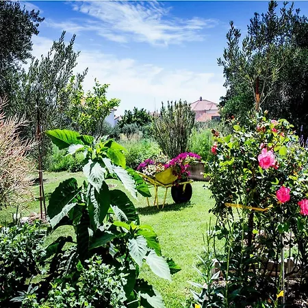 Two Bedroom With Balcony Apartment *